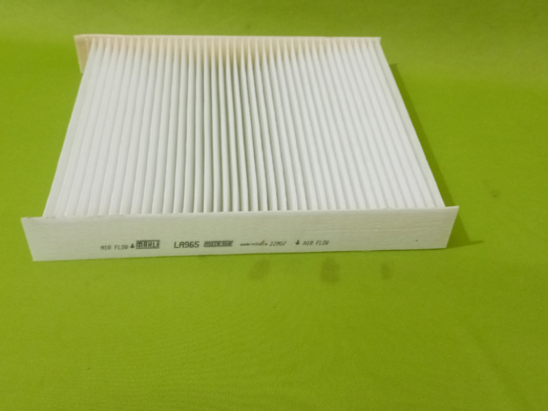 Dust And Pollen Filter Insert