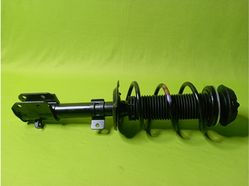 Front Suspension Strut Set (Left)