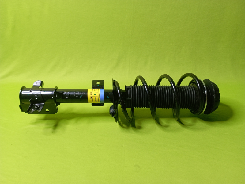 Front Suspension Strut Set (Left)