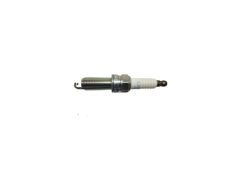 Plug Assy-Spark